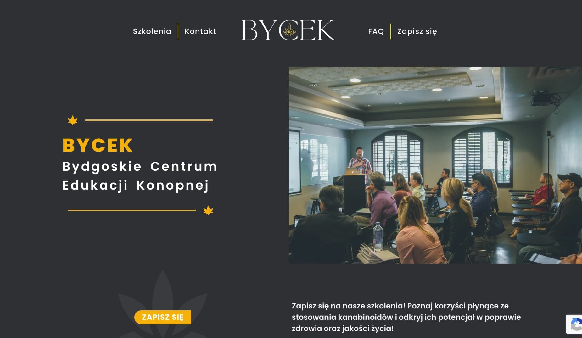 Bycek.pl — training platform realization for doctors and pharmacists